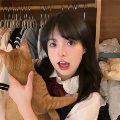 哲理