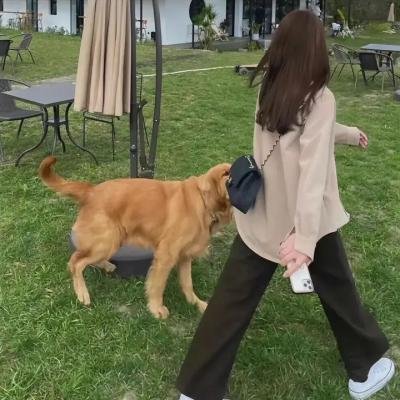古装喜剧